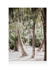 Between the Palms Canvas print
