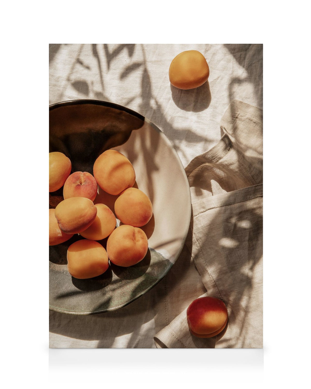 Apricots In Sunlight Canvas print