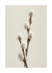 Willow Twig Print