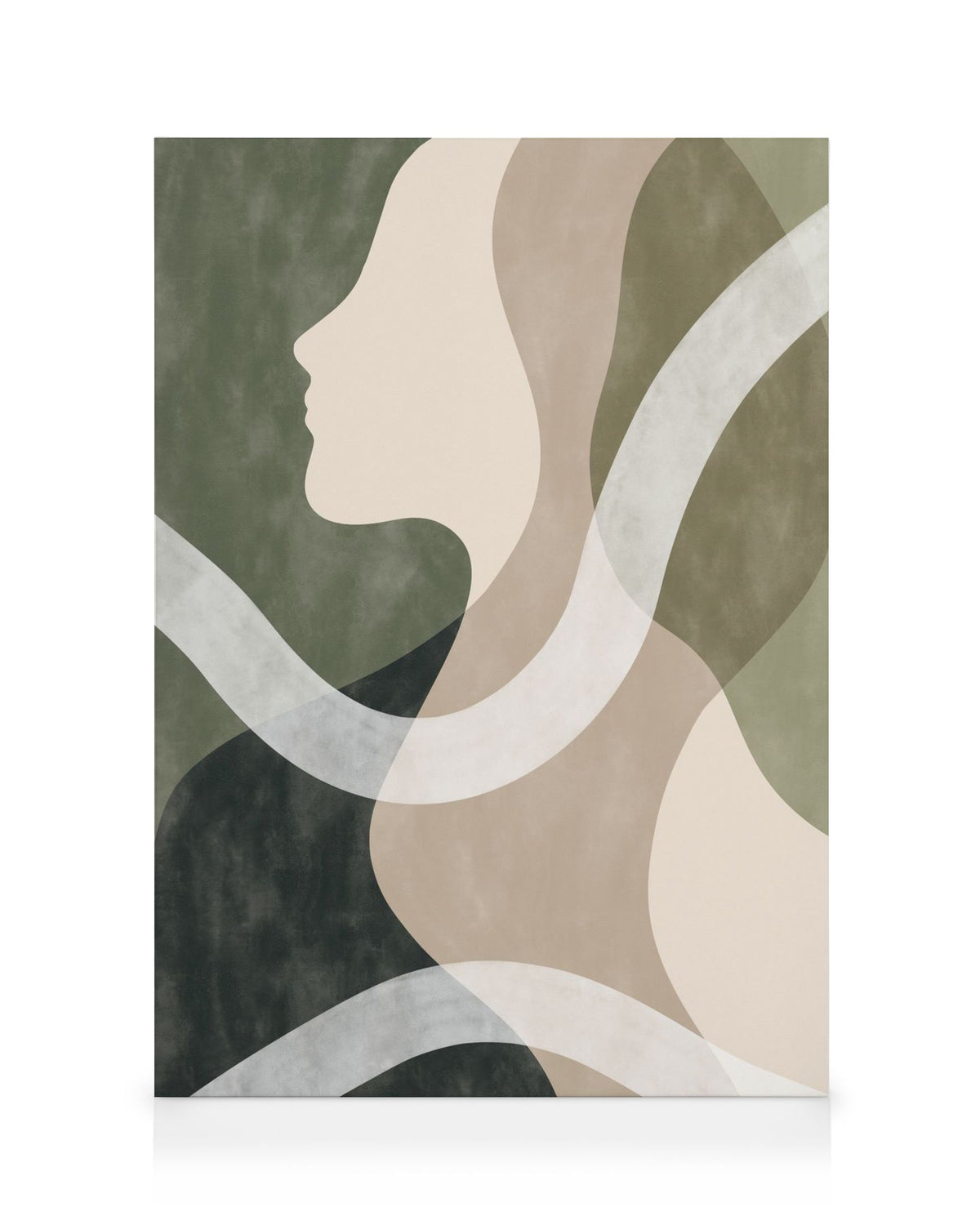 Shapes of a Face No2 Canvas print