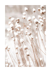 Snow Covered Flowers Print