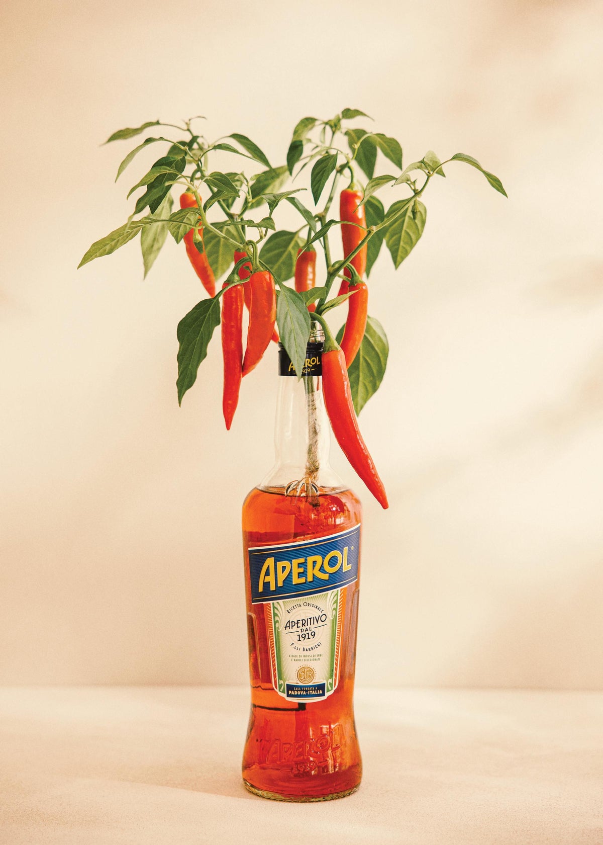 Aperol Chili Print