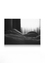 Morning Moment Canvas print