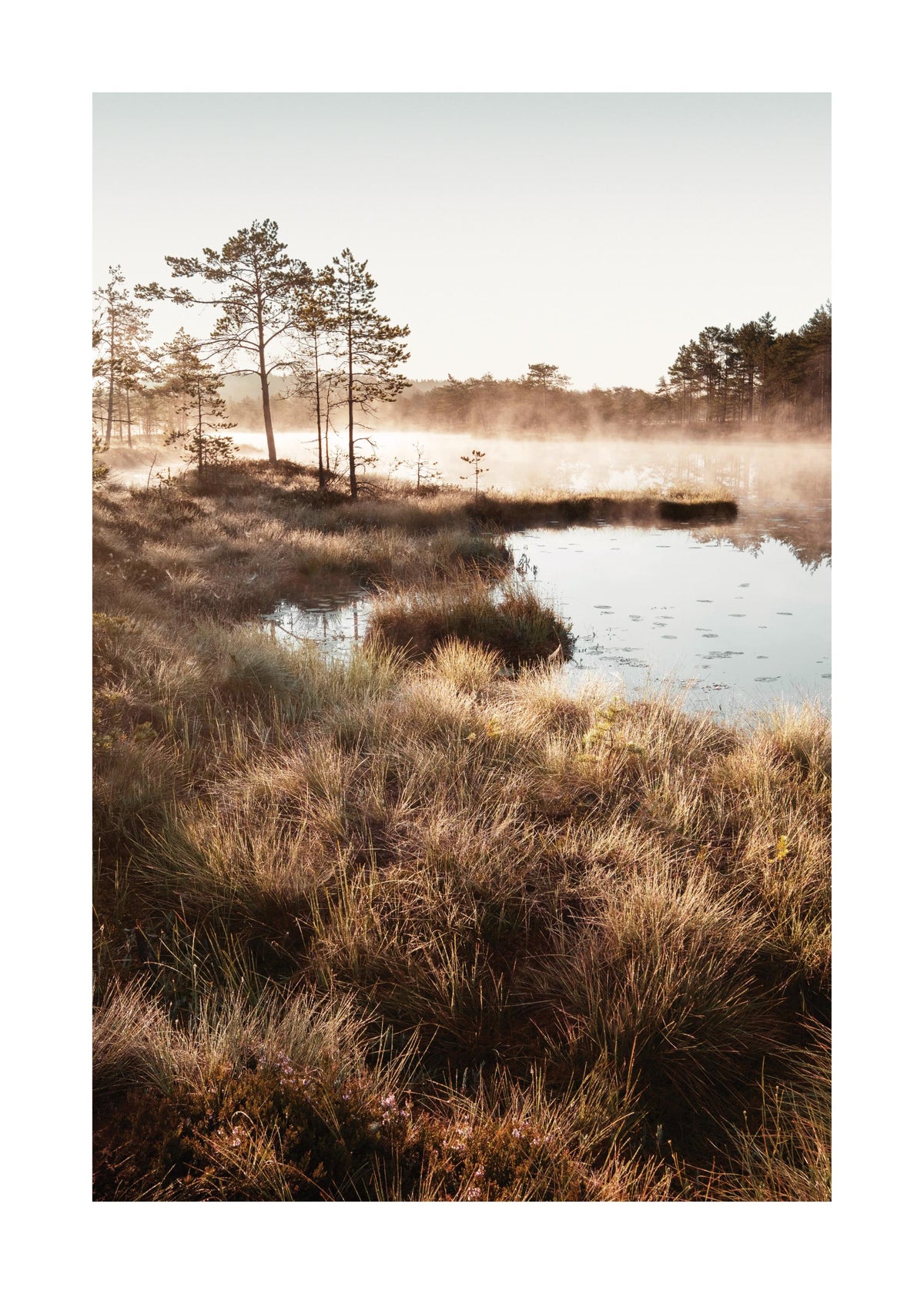Autumn Dawn Print