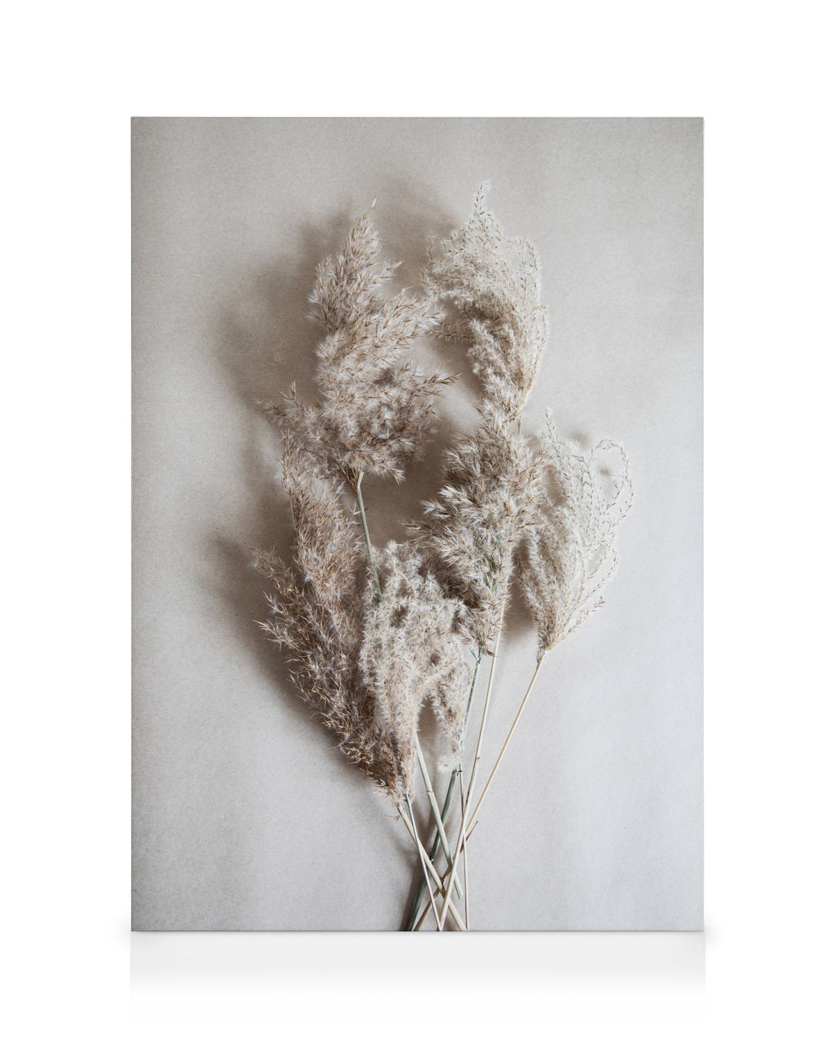 Bouquet of Autumn Reeds Canvas print
