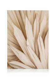 Dried Palm Leaves Canvas print