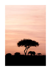 Dazzling Sunset Print