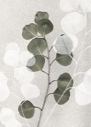 Eucalyptus Art No2 Print