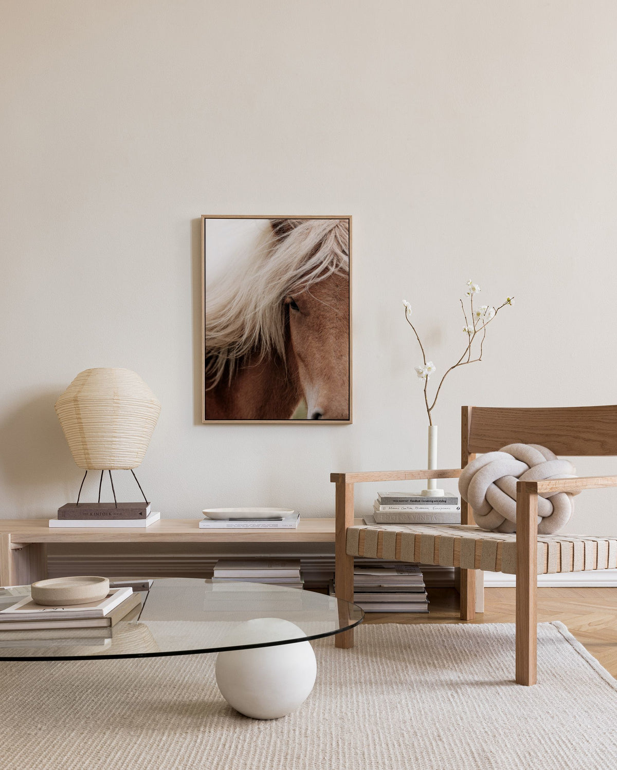 Chestnut Horse Canvas print