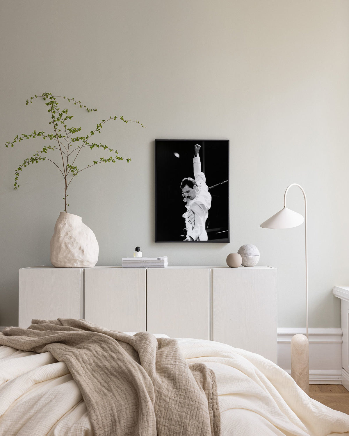 Freddie Mercury Canvas print