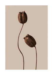 Brown Flowers Print