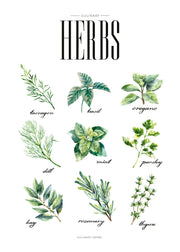 Herbs Green, Poster