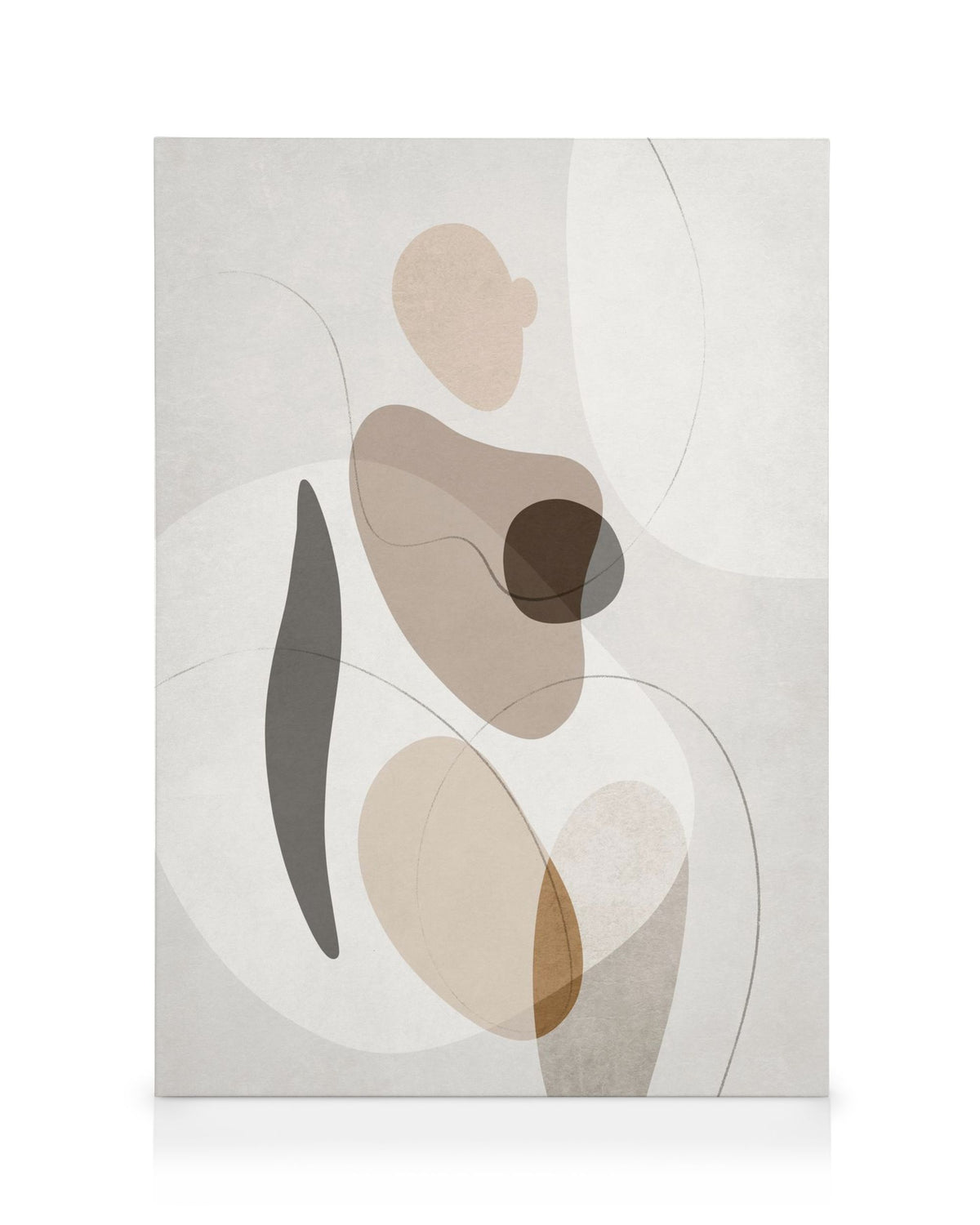 Organic Shapes Figure No2 Canvas print