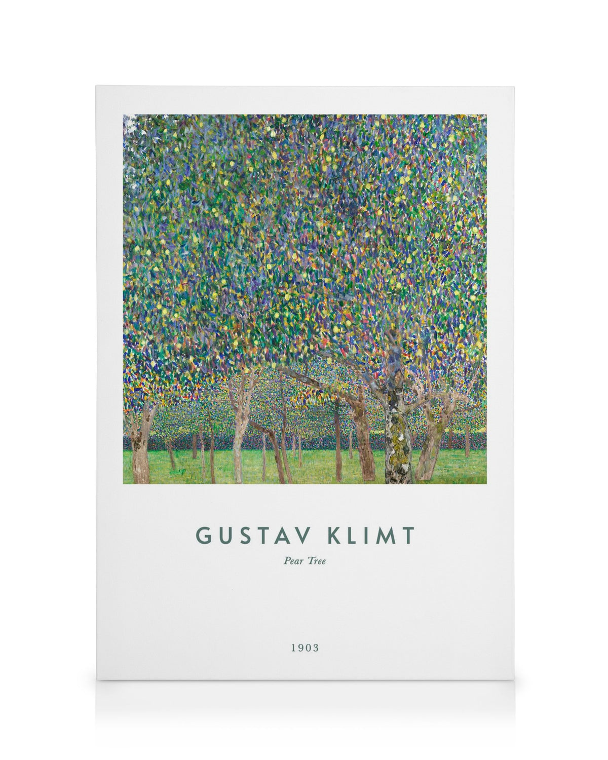 Gustav Klimt - Pear Tree Canvas print