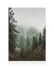 Deep Green Forest Canvas print