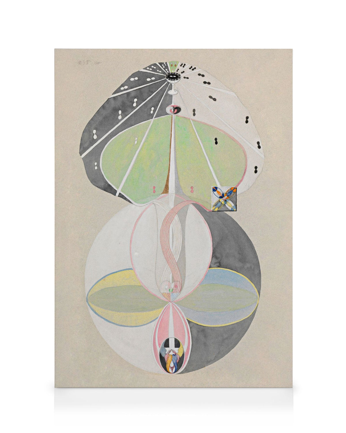 Canvas print - Tree of Knowledge, No.5 by Hilma af Klint