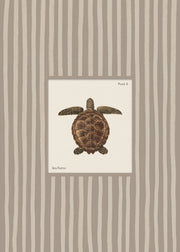 Vintage Sea Turtle Print
