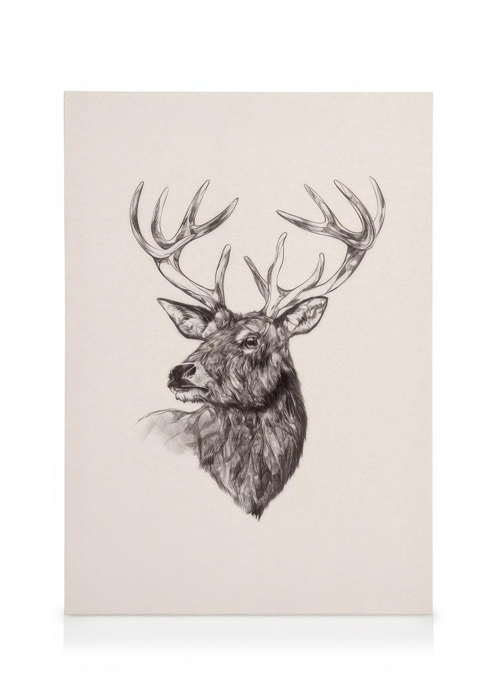 Happy Holidays Reindeer Canvas print