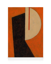 Form and Function Canvas print