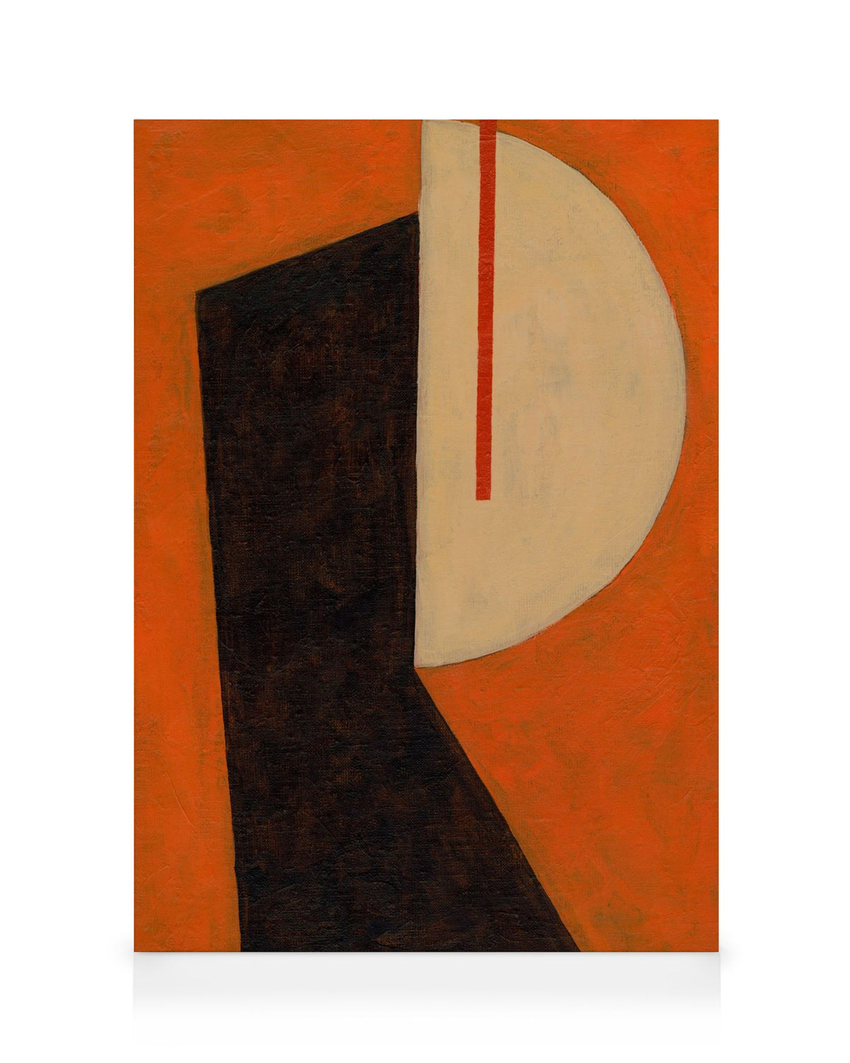Form and Function Canvas print