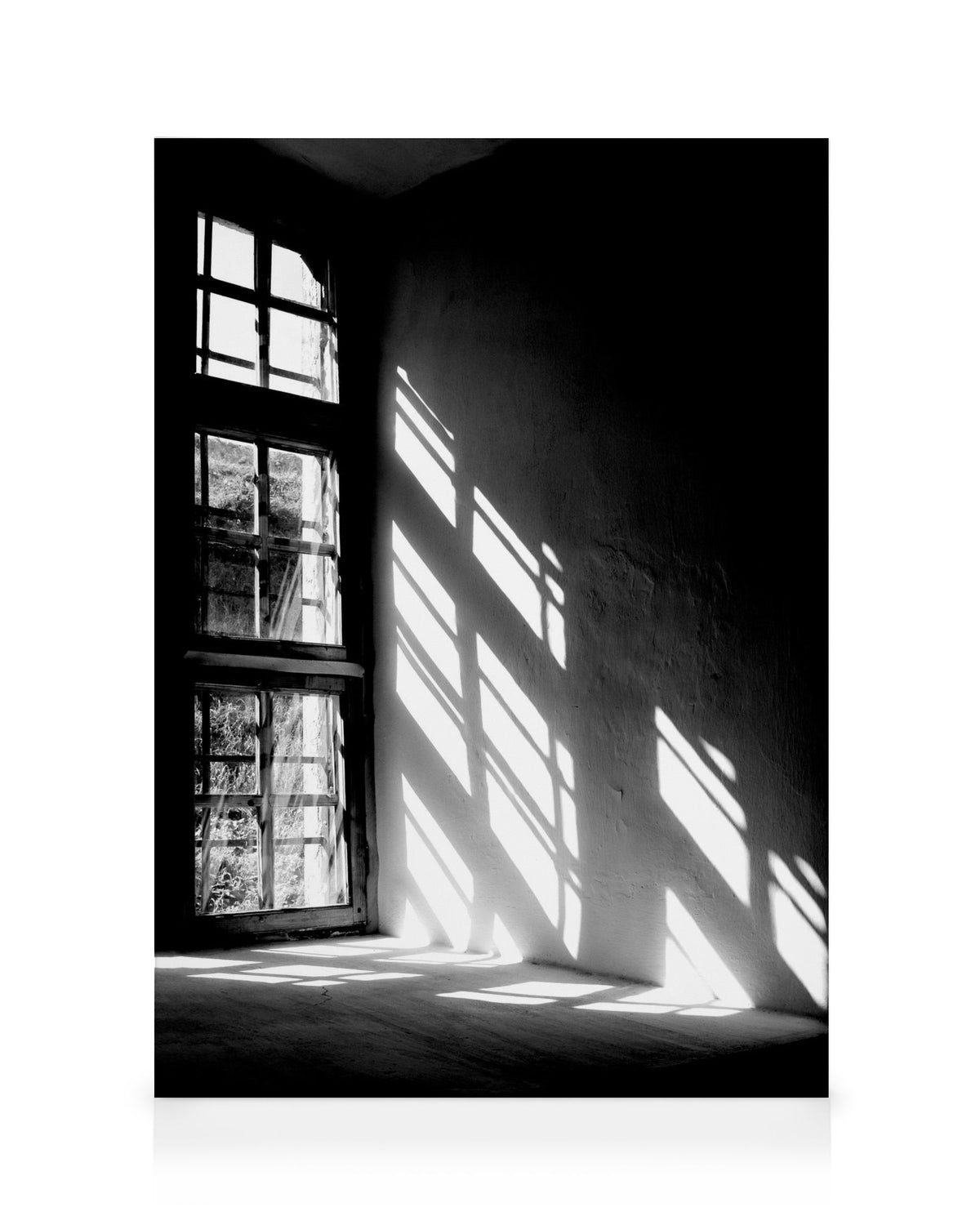 Let The Light In Canvas print