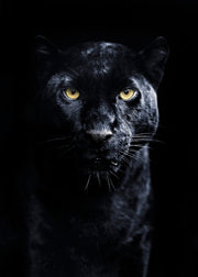 Panther Print