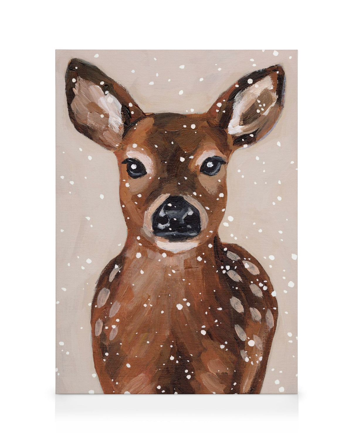 North Fawn Canvas print