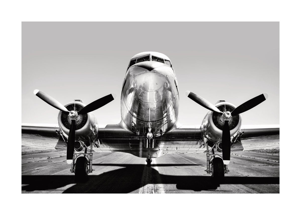 Vintage Airplane Print