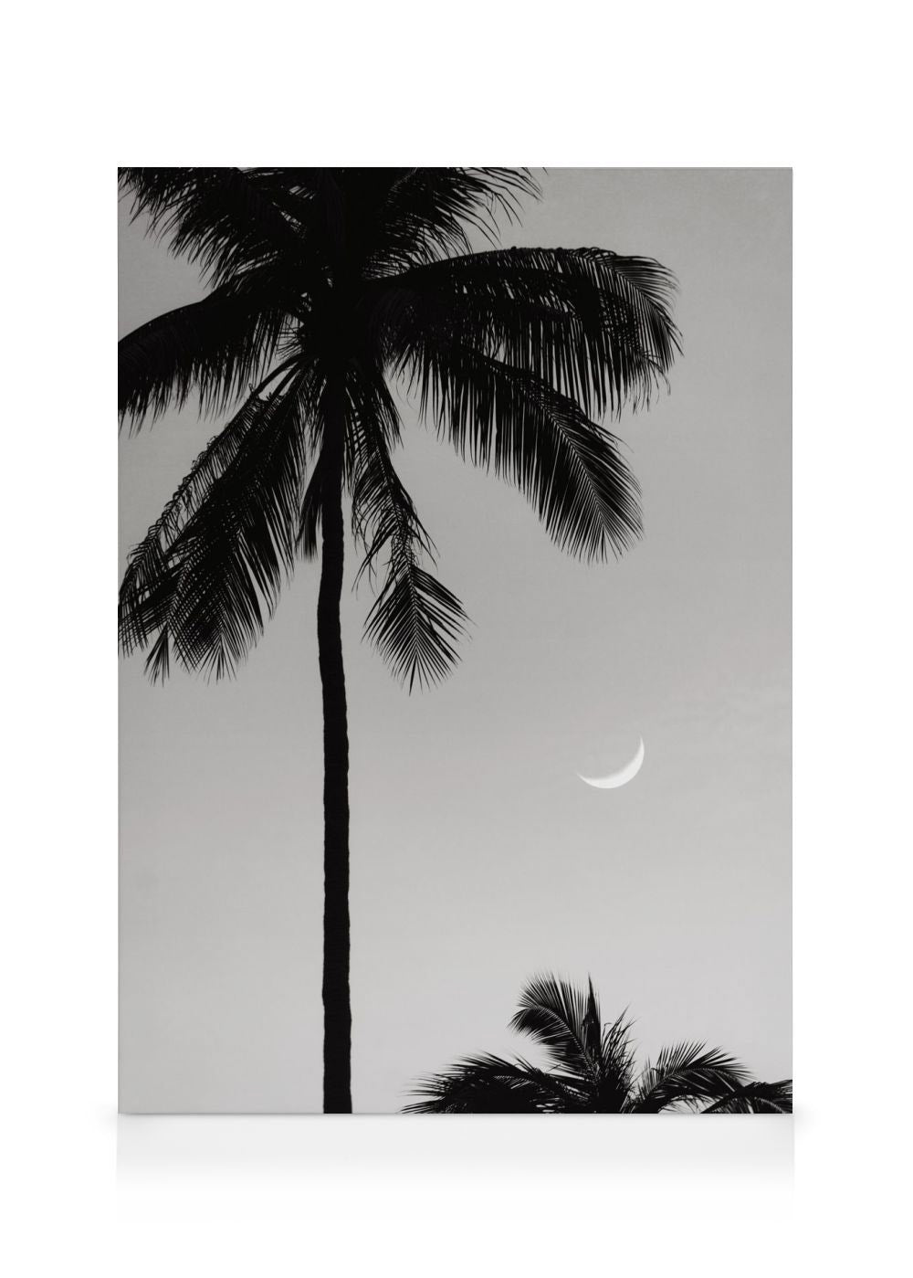 Moonlit Palms Canvas print