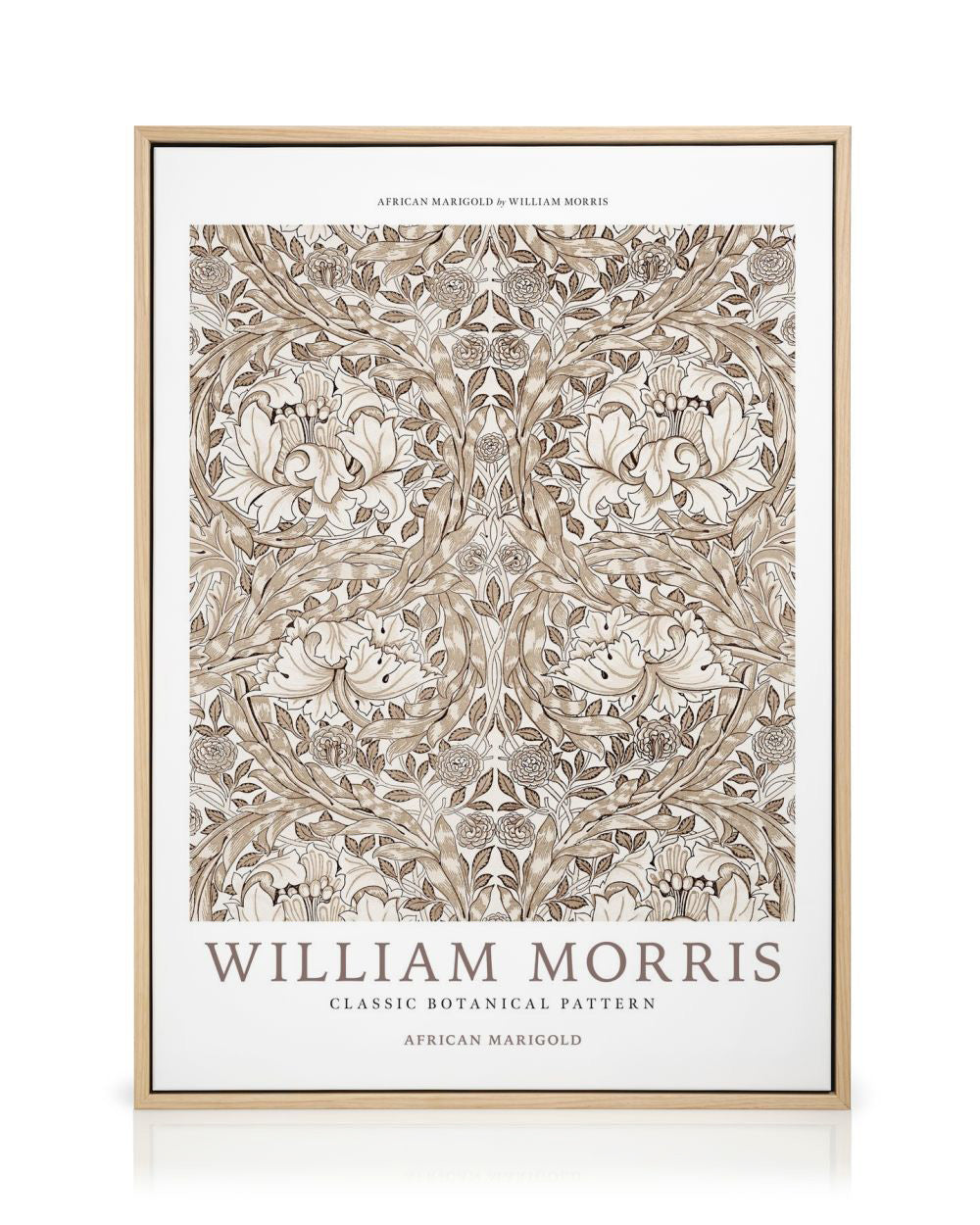 William Morris - African Marigold Canvas print