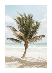 Palm in the Breeze Print