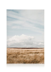 Moorland Canvas print