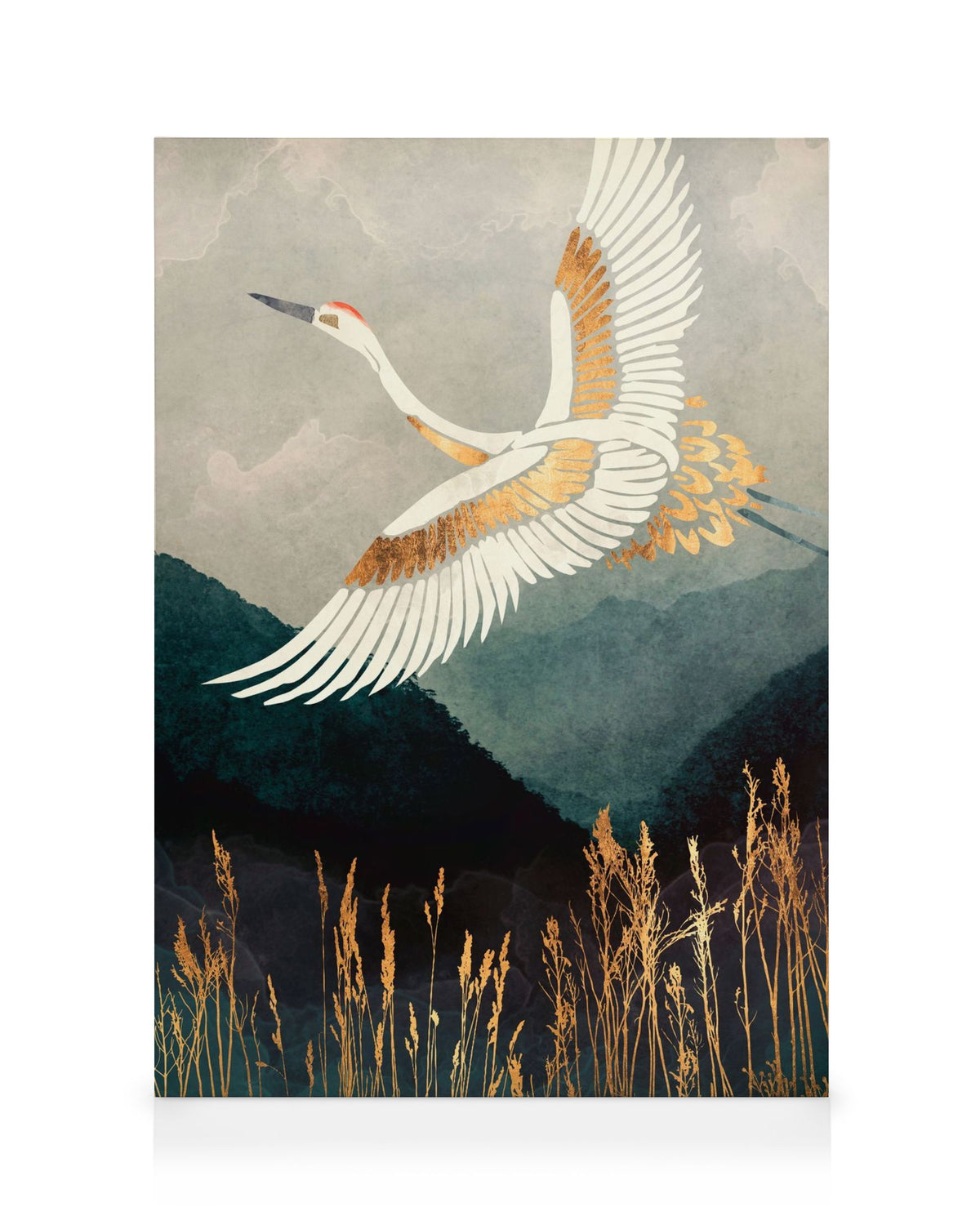 SpaceFrog Designs - Elegant Flight Canvas print