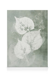 Pressed Leaves Canvas print