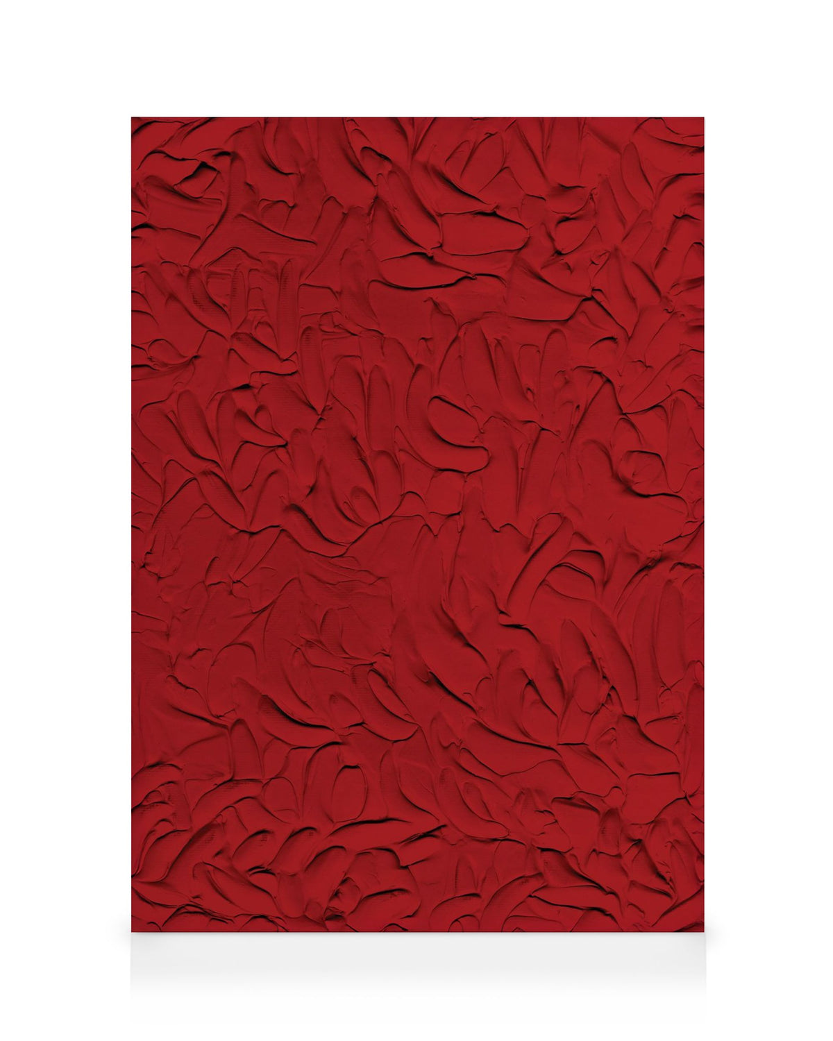 Manifeste Rouge Canvas print