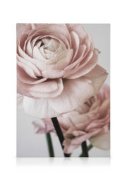 Pink Flower Dream No2 Canvas print