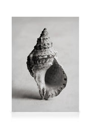 The Art of the Sea Canvas print