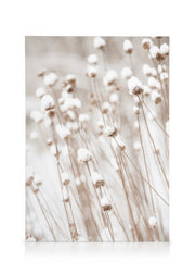 Snow Covered Flowers Canvas print