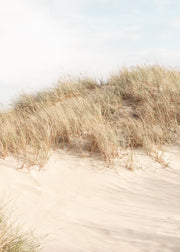 Shorelines No2 Print