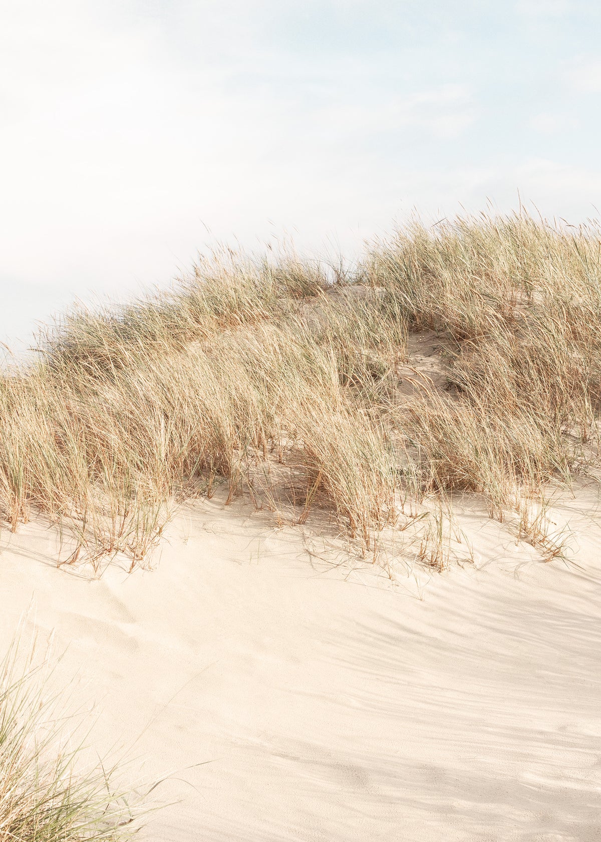 Shorelines No2 Print