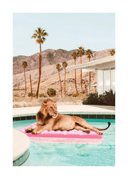 Sunbathing Lion Print