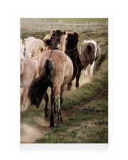 In Motion No3 Canvas print