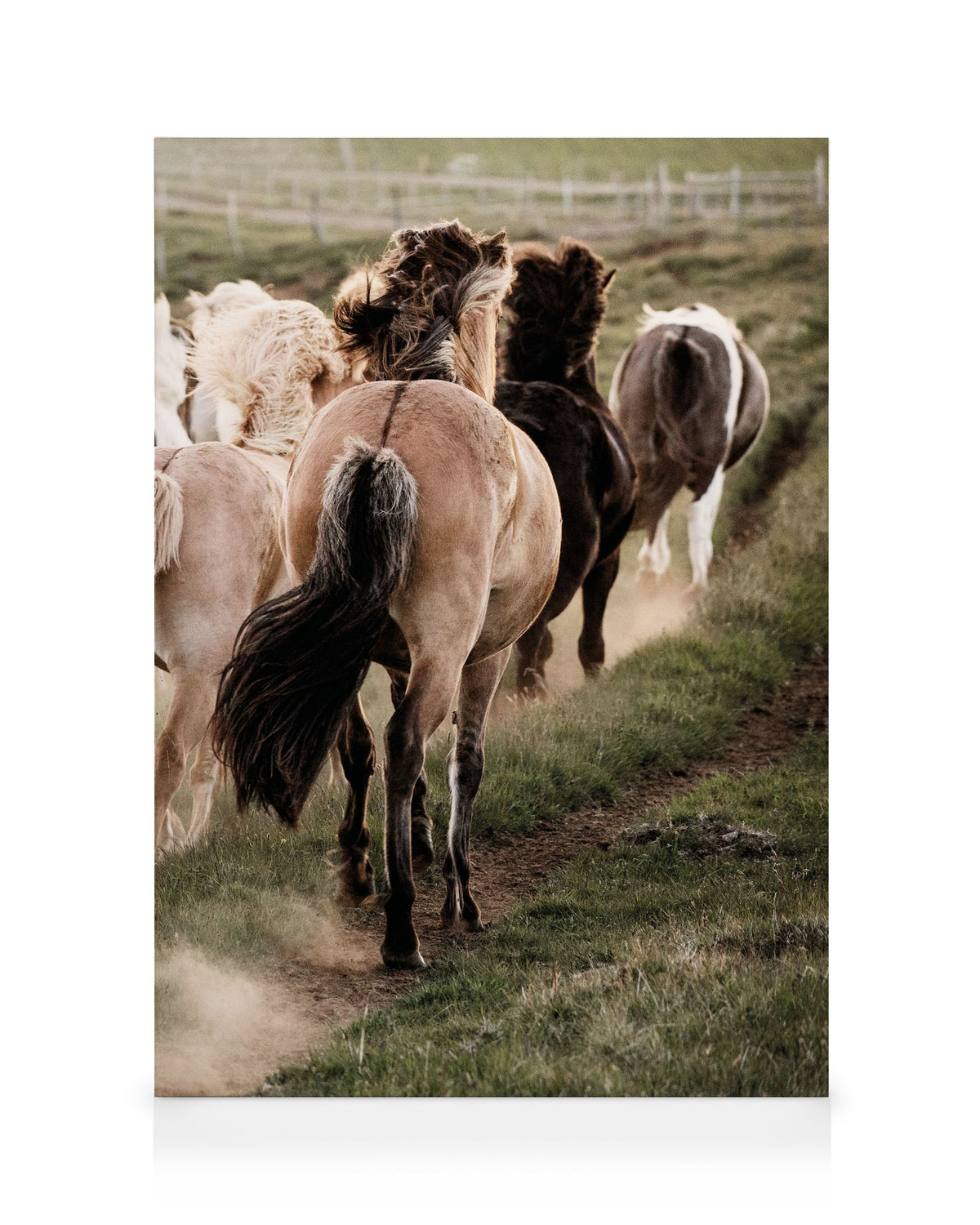 In Motion No3 Canvas print