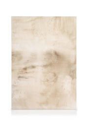 Beige Abstraction No2 Canvas print