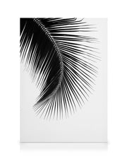 Black Palm Leaf, Canvas print