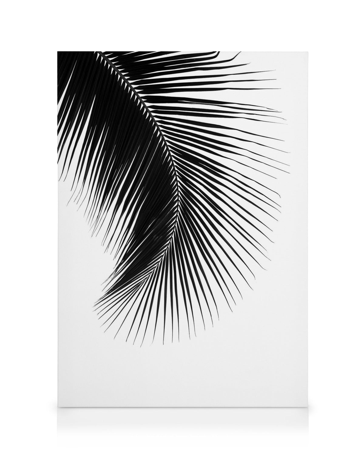 Black Palm Leaf, Canvas print