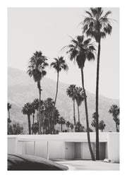 Desert House Print