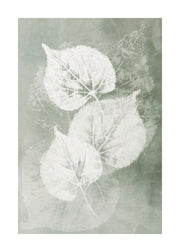 Pressed Leaves Print