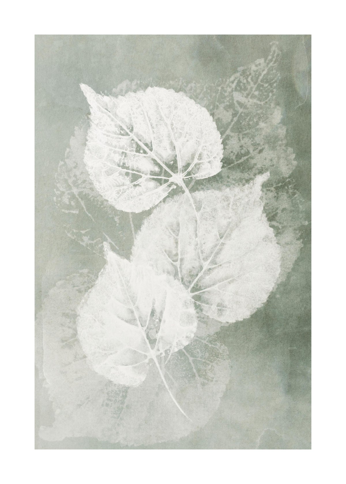 Pressed Leaves Print