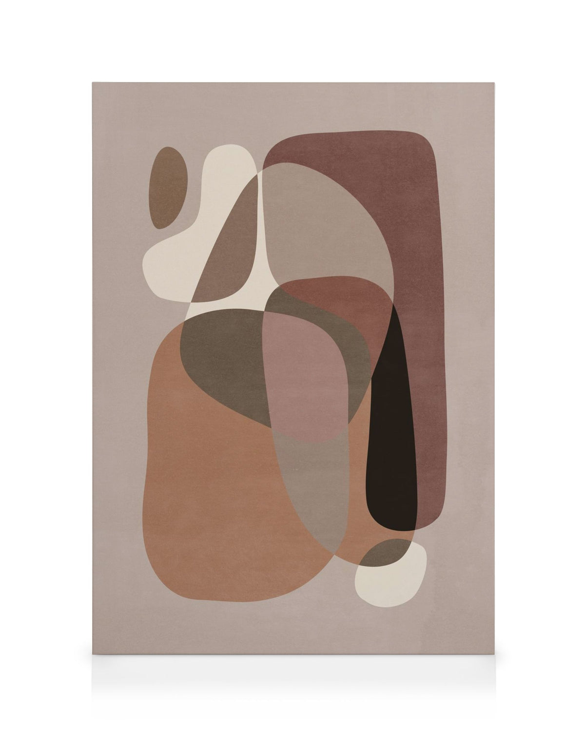 Curvy Forms Canvas print